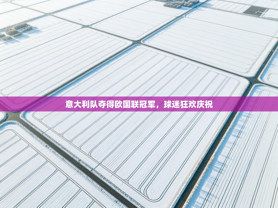 意大利队夺得欧国联冠军，球迷狂欢庆祝  第1张