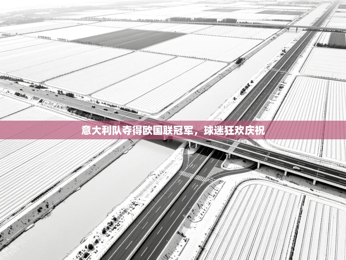 意大利队夺得欧国联冠军，球迷狂欢庆祝  第2张