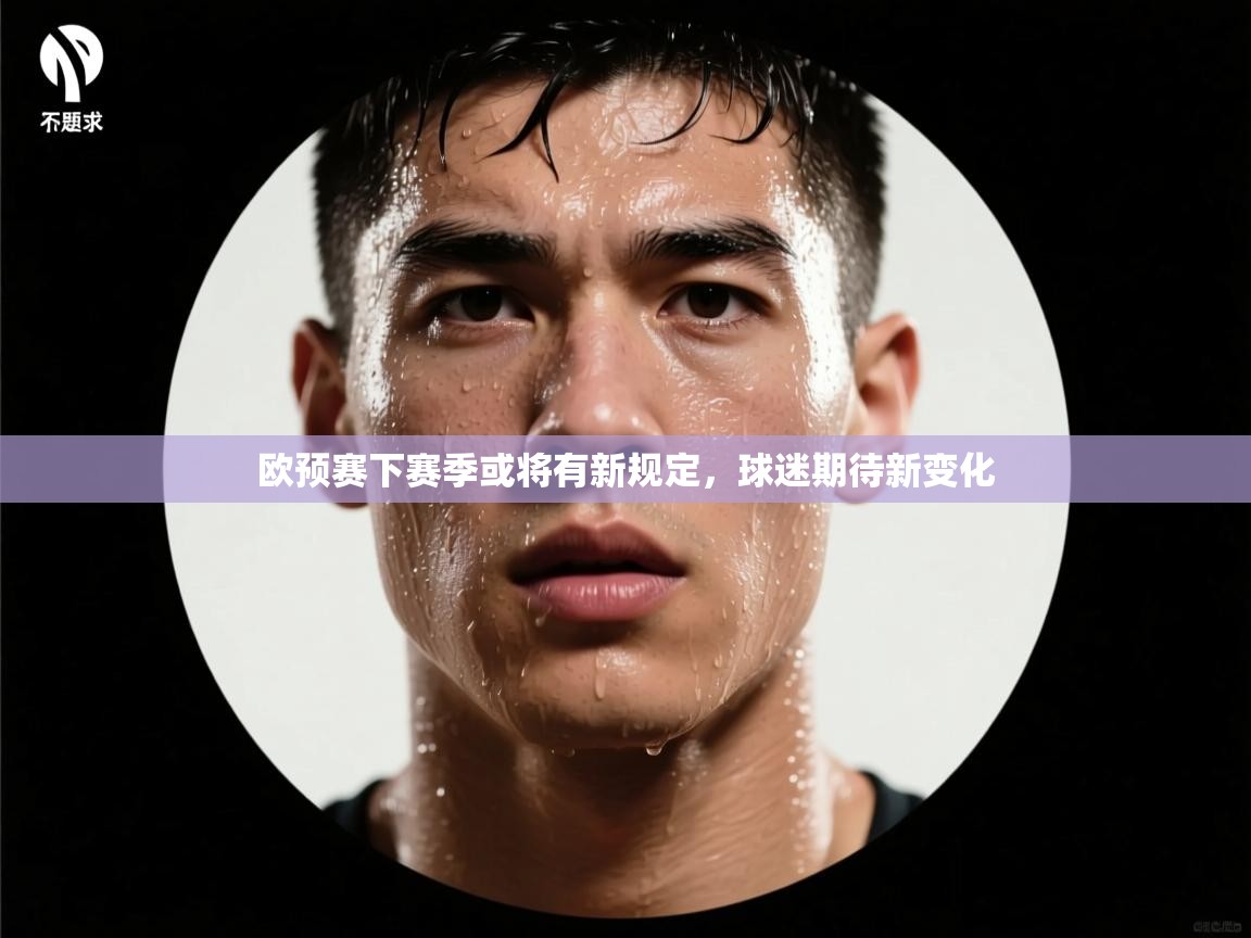 欧预赛下赛季或将有新规定，球迷期待新变化  第1张