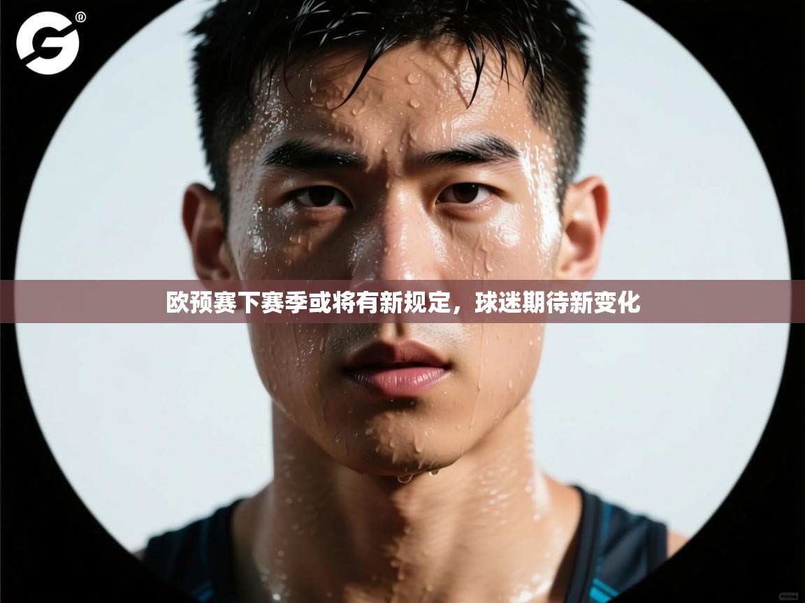 欧预赛下赛季或将有新规定，球迷期待新变化  第2张